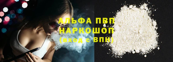 стаф Абаза