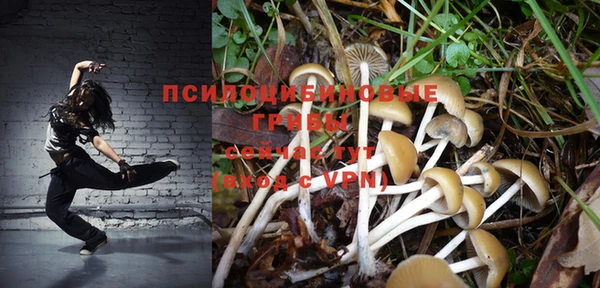 спайс Алзамай