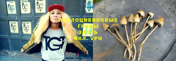 MESCALINE Покров