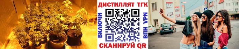 цены наркотик  shop состав  ТГК вейп с тгк  Нелидово 
