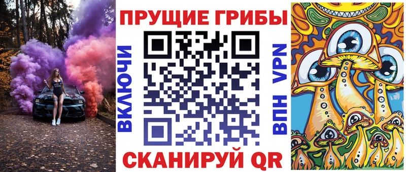 продажа наркотиков  Нелидово  Галлюциногенные грибы GOLDEN TEACHER 